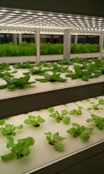 -安利上海体验馆