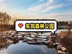 -东郊湿地公园