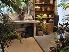 -自由生长植物工作室(深港花卉中心店)