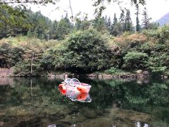 -石台牯牛降景区