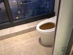 -广州金沙洲希尔顿欢朋酒店