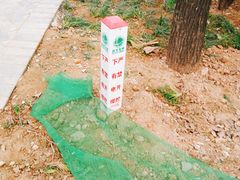 -唐城墙遗址公园