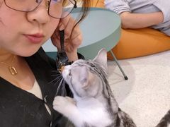 -飞行喵MR PILOT|猫舍·猫咖(静安大融城店)