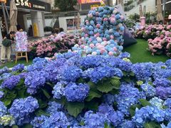 -HALO广场(梨园路店)