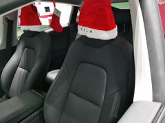 -TESLA 特斯拉(深圳观澜特斯拉直营钣喷中心)