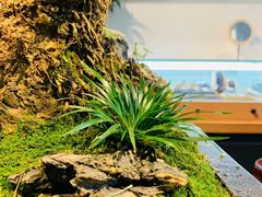 -阜昌典当行(阜成门店)