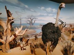 -陕西自然博物馆