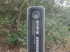 -浮槎山