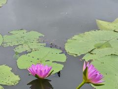 -云溪植物园