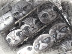 -猫咪博物馆(顶澳仔猫街店)