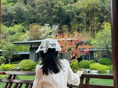 -云溪植物园