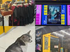 -谜盒子奇幻密室(南屏店)