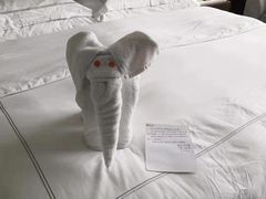 -青岛海尔洲际酒店