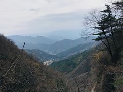 -王顺山国家森林公园