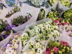 -双季花艺园艺市场(浦东店)
