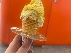 -野人先生现做冰淇淋(北京王府井东方新天地店)