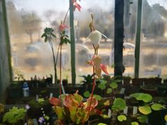 -国家植物园南园