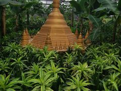 -南宫五洲植物乐园