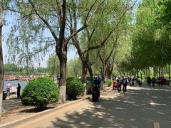 -丁香湖公园