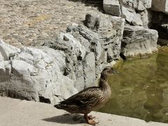 -香山公园-东宫门售票处