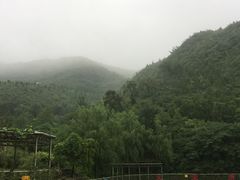 -双新垂钓园