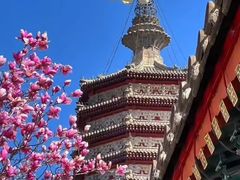 -西海子公园