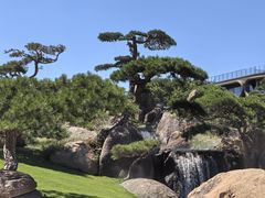 -罗红摄影艺术馆