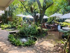 -Fern Forest Cafe