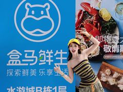 -鹏欣水游城
