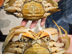 -大东海海鲜酒楼(渔人码头总店)