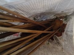 -乐彡炸串·烤苕皮(西单华威约饭街店)