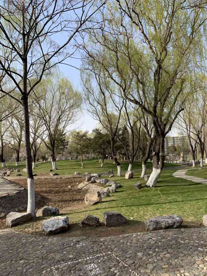 小屯公园-"丰台交通执法大厅边上有个小公园,公园不大.