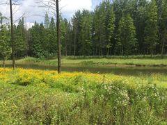 -黄海国家森林公园