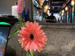 -佬麻雀·新湘菜(东方宝泰店)