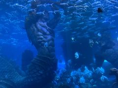 -波塞冬海底世界