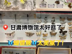 -甘肃省博物馆