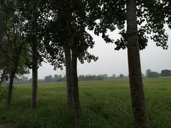 -汉长安城未央宫国家考古遗址公园