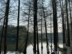 -重庆彩云湖湿地公园