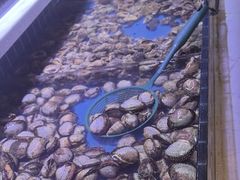 -聚盛源蒸汽海鲜火锅烤肉自助(巨川金海岸购物广场店)