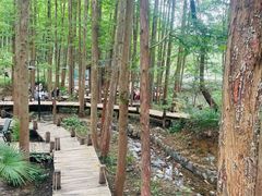 -东明山森林公园