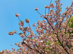 -苏州河梦清园环保主题公园