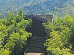-大唐贡茶院