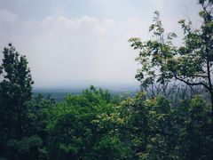 -紫金山天文台