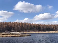 -塞罕坝国家级自然保护区