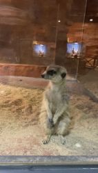 -酷嗒动物文化乐园(cutezoo西溪乐天城店)