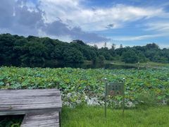 -福建鲤鱼洲酒店