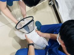 -宠福鑫动物医院(望京分院)