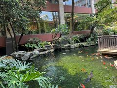 -新世纪大酒楼·30年南海菜