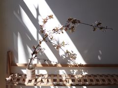 -良友书坊(安徽路店)