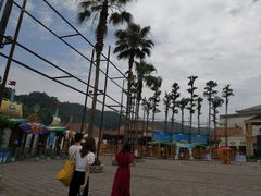 -重庆海昌加勒比海水世界